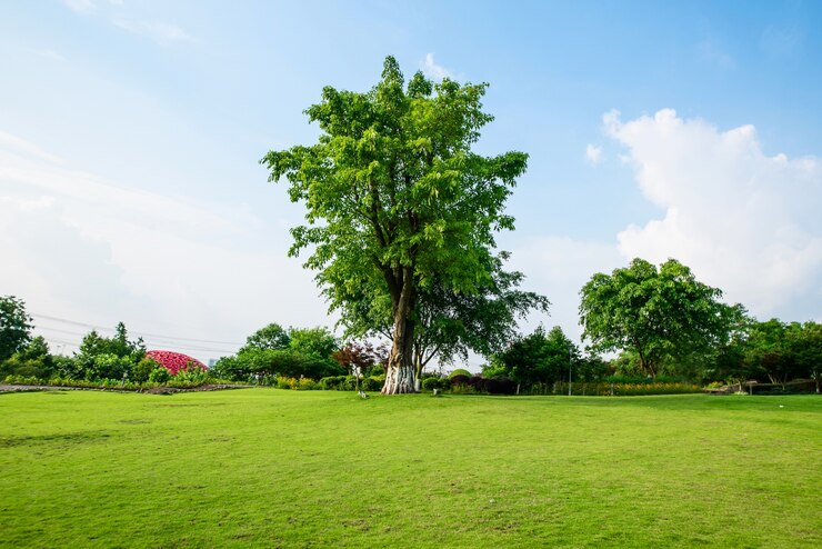 The Role of Location in Real Estate Value